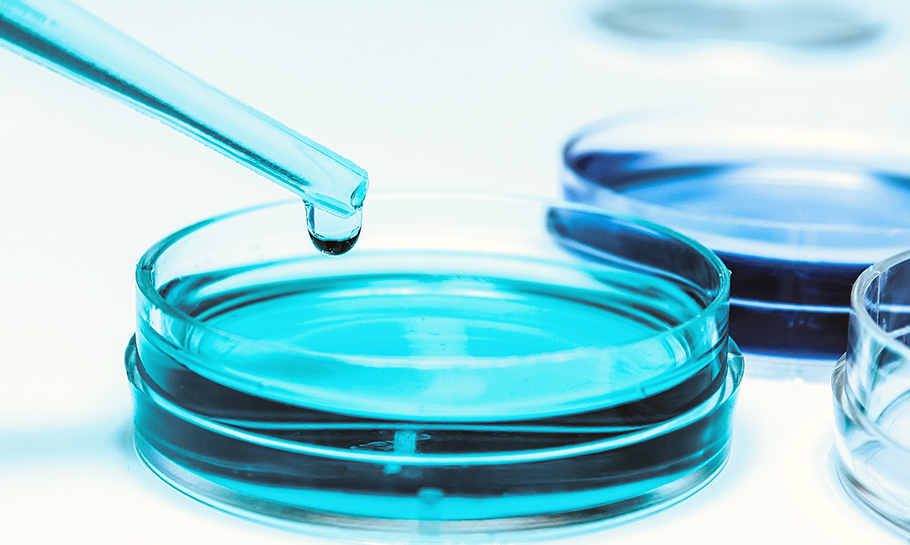 Laboratory & Radiology Services